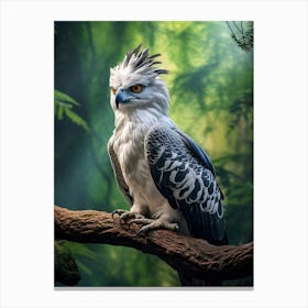 Sky Sovereignty: Harpy Eagle Poster Canvas Print