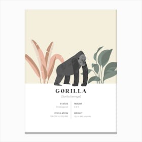 Gorilla - Jungle Fact Canvas Print