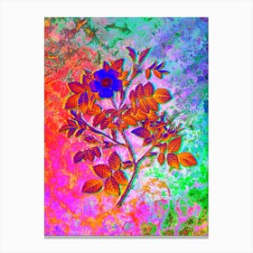 Malmedy Rose Botanical in Acid Neon Pink Green and Blue n.0351 Canvas Print