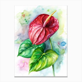 10 Tropical Anthurium With Glossy Red Leaves Canvas Print