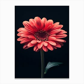 Red Gerbera Flower Canvas Print