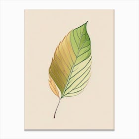 Ash Leaf Warm Tones 2 Canvas Print