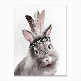 Bunny With Feathers Canvas Print