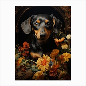 Dachshund Canvas Print