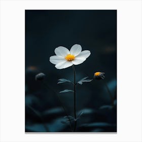 White Flower 19 Canvas Print