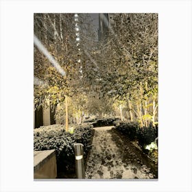 Snowy Sidewalk In London Canvas Print