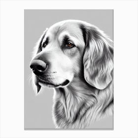 Flat Coated Retriever B&W Pencil dog Canvas Print