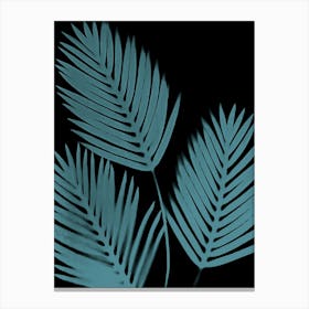 Black teal palm leaves 1 Canvas Print