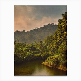 Tanjung Puting National Park Indonesia Vintage Poster Canvas Print