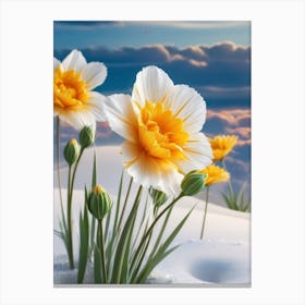 White Daffodils In The Snow Canvas Print