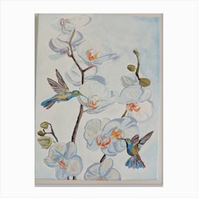 Hummingbirds And Orchids Canvas Print