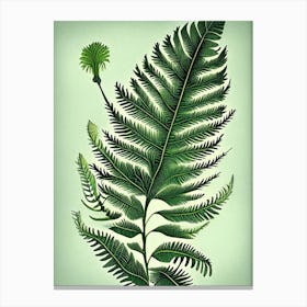 Tassel Fern 3 Vintage Botanical Poster Canvas Print