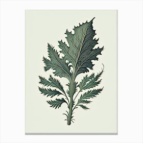 Pennyroyal Leaf Vintage Botanical 2 Canvas Print