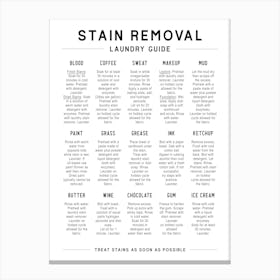 Laundry Stain Removal Guide Canvas Print