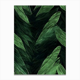 Veiled Secrets: An Exploration of the Hidden Depths of the Rainforest Canvas Print