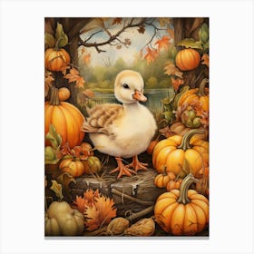 Autumnal Duckling 2 Canvas Print