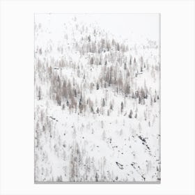 Sparse Winter Forest Canvas Print