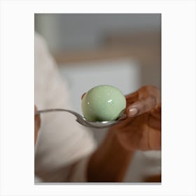 Egg On Spoon Stock Videos & Royalty-Free Footage Canvas Print