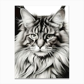 Black And White Painting Of A Maine Coon Cat Canvas Print