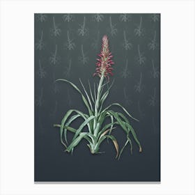 Vintage Pina Cortadora Botanical on Slate Gray Pattern n.1239 Canvas Print