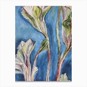 Endive 3 Classic vegetable Canvas Print