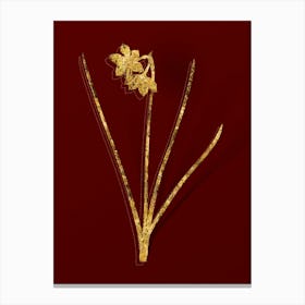 Vintage Narcissus Odorus Botanical in Gold on Red n.0429 Canvas Print