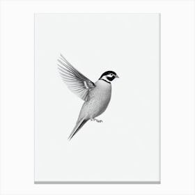 Partridge B&W Pencil Drawing 3 Bird Canvas Print