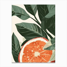 Guava Close Up Illustration 6 Canvas Print