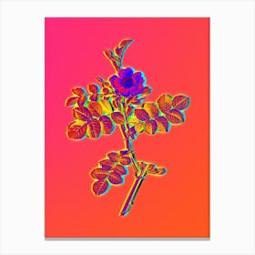 Neon Pink Sweetbriar Rose Botanical in Hot Pink and Electric Blue n.0399 Canvas Print