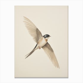 Vintage Bird Drawing Swallow 1 Canvas Print