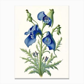 Bellflower Wildflower Vintage Botanical Canvas Print