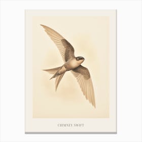 Vintage Bird Drawing Chimney Swift Poster Canvas Print
