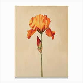 2024 May Poster Canvas Sng Iris 31 Canvas Print