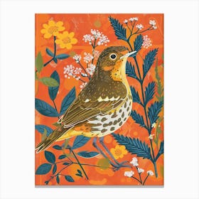 Spring Birds Hermit Thrush 1 Canvas Print