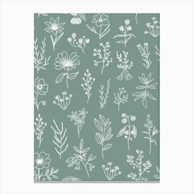 Little Patagonian Wildflowers - Sage Green Canvas Print