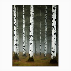 Birch Forest 91 Canvas Print