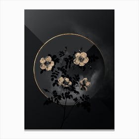 Shadowy Vintage White Candolle's Rose Botanical in Black and Gold n.0168 Canvas Print