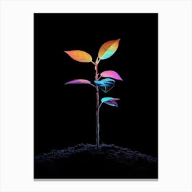 Rainbow Plant 2 Canvas Print