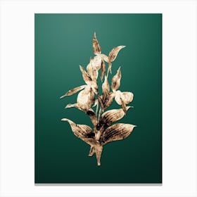 Gold Botanical Sabot des Alpes on Dark Spring Green Canvas Print