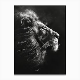 African Lion Charcoal Drawing Symbolic Imagery 1 Canvas Print