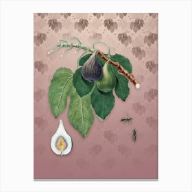 Vintage Fig Botanical on Dusty Pink Pattern n.1172 Canvas Print