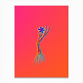 Neon Snowdon Lily Botanical in Hot Pink and Electric Blue n.0619 Canvas Print