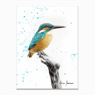 The Knowing Kingfisher Canvas Print