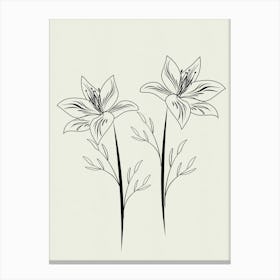 Lily Lines on Paper Canvas Print