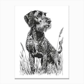 German Wirehaired Dog Line Sketch 1 Canvas Print