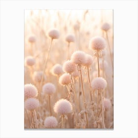 Boho Dried Flowers Globe Amaranth 2 Canvas Print