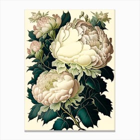 Duchesse De Nemours Peonies Pink Vintage Botanical Canvas Print