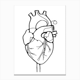 Heart Anatomy Minimalist Line Art Monoline Illustration Canvas Print
