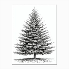Fir Tree Pencil Sketch Ultra Detailed 3 Canvas Print