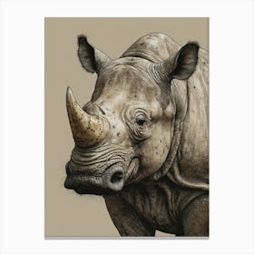 Rhino 8 Canvas Print